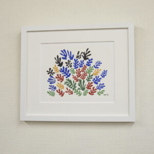 MATISSE-HM1M163