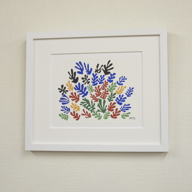 MATISSE-HM1M163