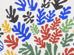 MATISSE-HM1M163