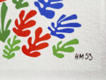 MATISSE-HM1M163