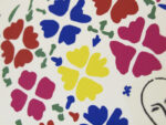 MATISSE-HM3M163