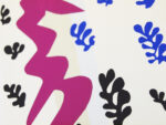 MATISSE-HM6M163