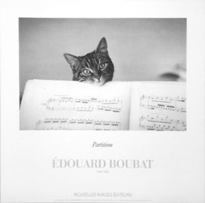 BOUBAT-CAT-Q