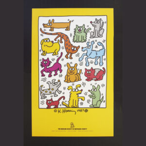 HARING-IN099