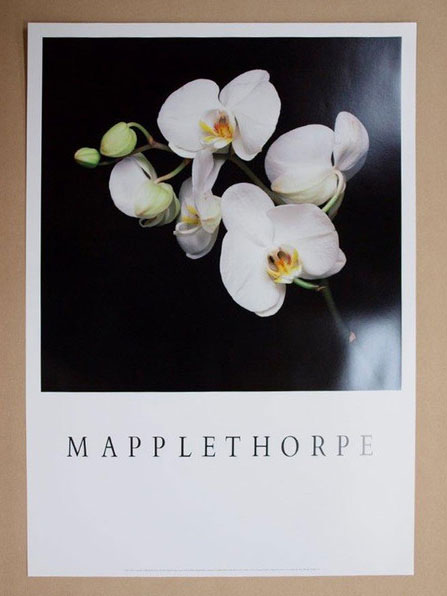 MAPPLETHORPE-MO9