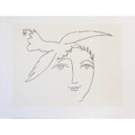 PICASSO-IN108