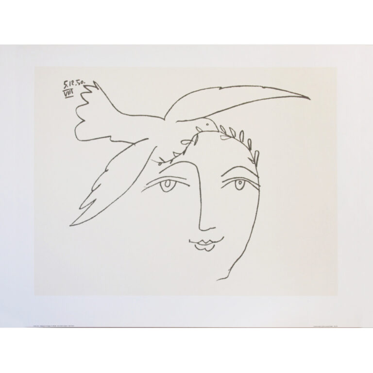 PICASSO-IN108