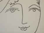 PICASSO-IN108