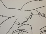 PICASSO-IN108
